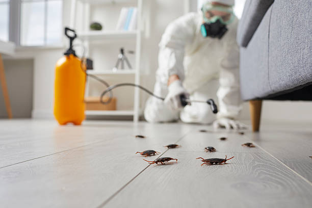 Commercial Kitchen Cockroach Control in Port Reading